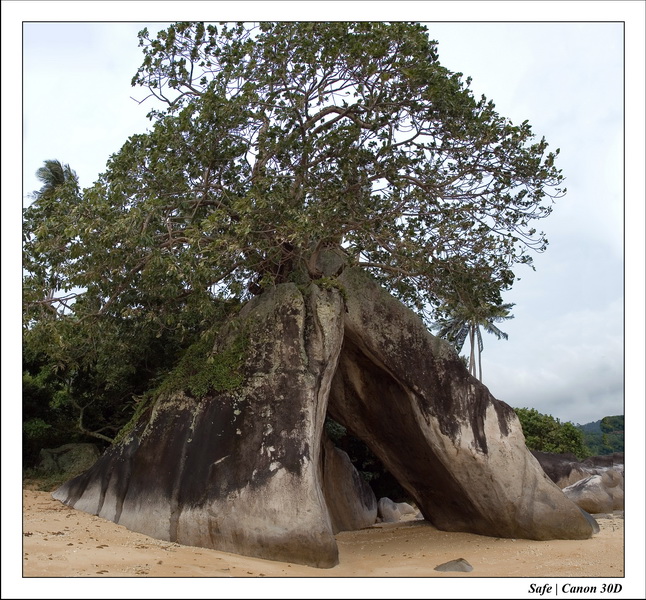 2006 - 07 - Tioman - Hemina beach 19